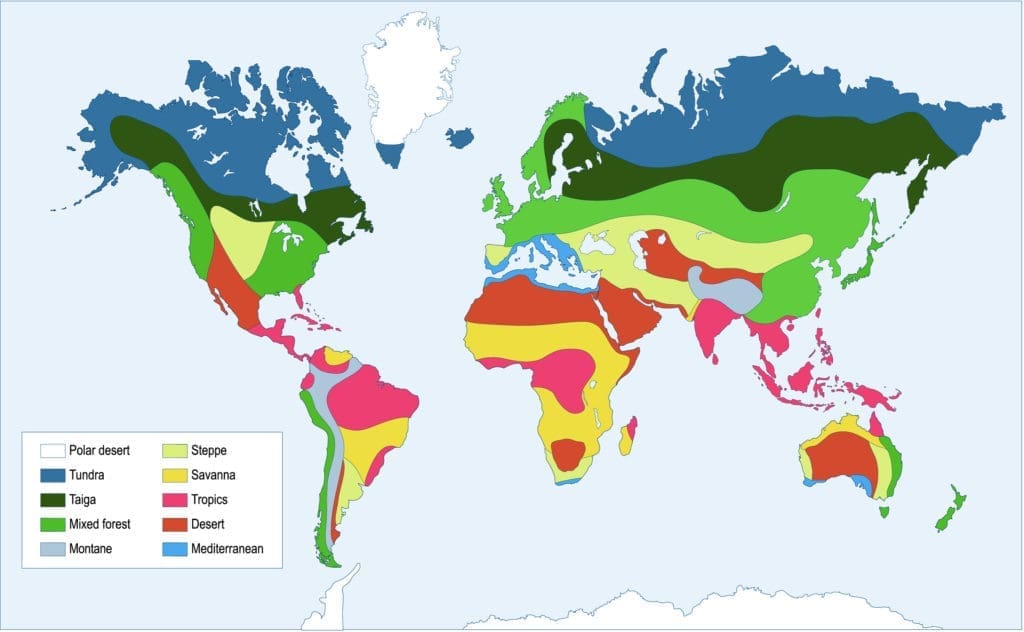 biomes of the world map